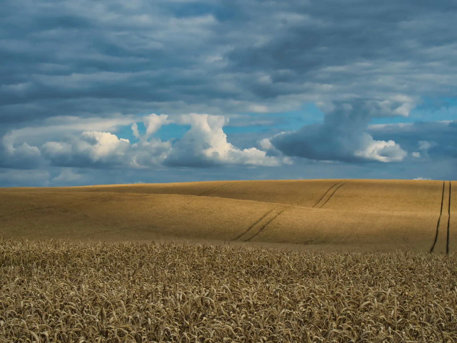 Between Earth and Sky